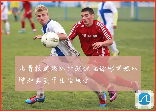 北青报道狼队计划优化徐彬训练以增加其英甲出场机会