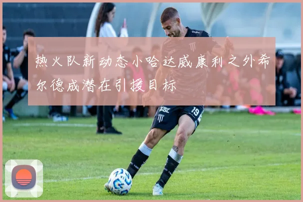 热火队新动态小哈达威康利之外希尔德成潜在引援目标